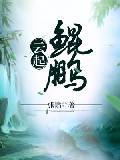 云起鲲鹏