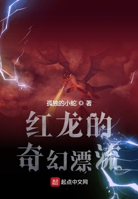 红龙的奇幻漂流