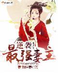 逆袭!最强妻主